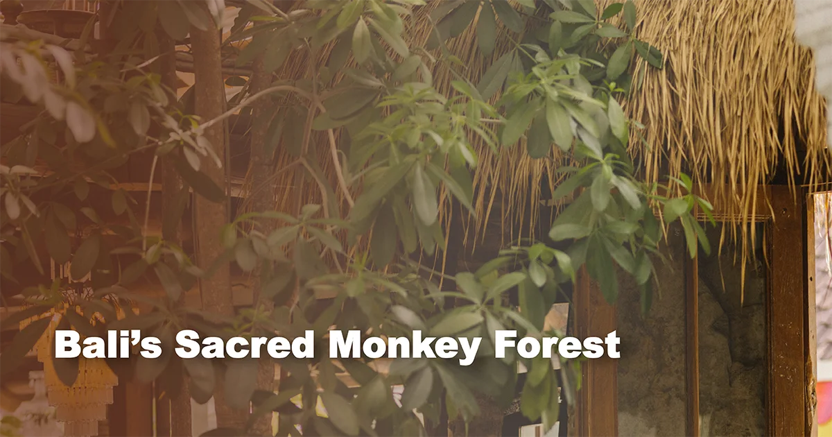 bali’s-sacred-monkey-forest
